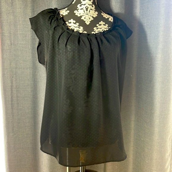 LC Lauren Conrad Tops Shear Black Top Poshmark Hanging Creepers Plastic Balcony Planters